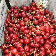 گیلاس تازه چین محلی