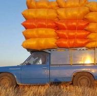 آقای محمودی