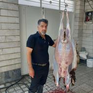 ذبح و قربانی کردن گوسفند