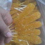 فروش نبات شاخهدار و چوبی
