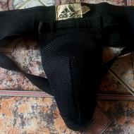 محافظ بیضه
