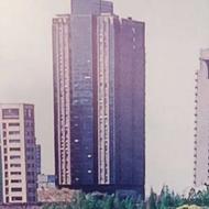 یک دهنه گاراژ براصلی