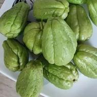 میوه مکزیکی چایوت