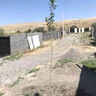 زمین مسکونی سند تک برگ