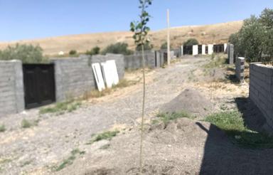 زمین مسکونی سند تک برگ