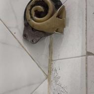 بوغ زامیادی