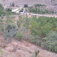 فروش زمین مسکونی 2500 متر در وسطی کلا