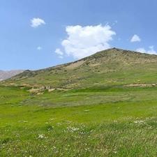 فروش زمین مسکونی 135 متر در مرکز شهر