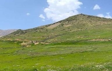 فروش زمین مسکونی 135 متر در مرکز شهر