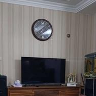 تلویزیون سایز 55 دوو
