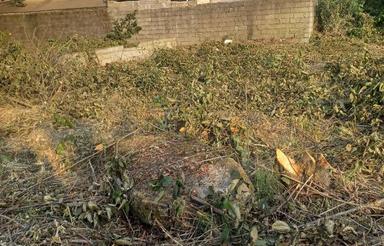 فروش زمین دراحمد خزر یک متصل به مسکونی