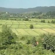 1666متر زمین مسکونی در بیجارسر