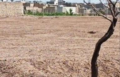 زمین سند دار انتهای سید جمال(فروش یا معاوضه)