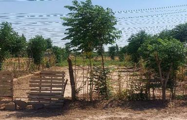 باغچه 500 متری عباس آباد علاقبند