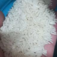 فروش کشت اول ودوم طارم هاشمی خالص سورتینگ شده وآماده پخت