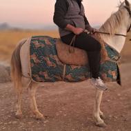 مادیون ابستن همراه با کره ماده