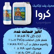 کودمحرک رشد