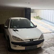 206 اتوماتیک فرانسوی