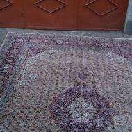 واگذاری رایگان فرش 12 متری شستشو شده