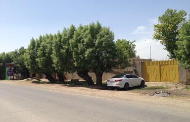 سوله صنعتی و مرغداری و گاوداری و باغ پسته ومیوه