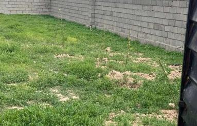 زمین ویلایی وایقان