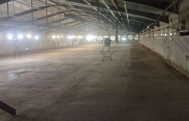 اجاره مرغداری مادر فول امکانات مازنداران 