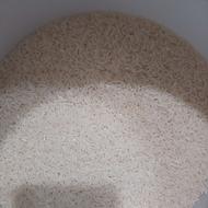 برنج طارم محلی