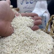 برنج اعلا و خالص طارم هاشمی کشت اول
