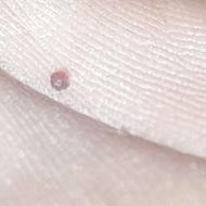 گارنت سرخ تراش خورده ی طبیعی موجوده دوست عزیز