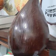 دوتار حرفه ایی