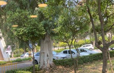 فروش ویلا در شهرک دریاکنار خیابان زوج و ساحلی