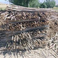 فروش چوب قیم
