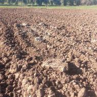 زمین کشاورزی روستای آورزمان سر راه پله متری 65000