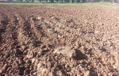 زمین کشاورزی روستای آورزمان سر راه پله متری 65000