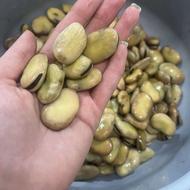 باقالا خشک 3بند امساله
