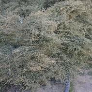 یونجه خالص بسته بندی دست