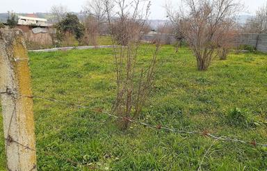 فروش زمین باغی در خلیل شهر