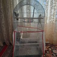 قفس پرنده 1 متری