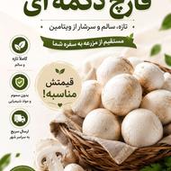 قارچ دکمه ای