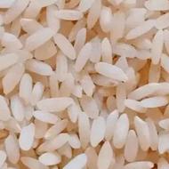 برنج چمپا درجه یک