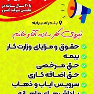 استخدام در شرکت افق طلایی آراد _ بندر امیرآباد