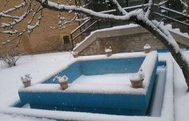 خواهان اجاره خانه هستم