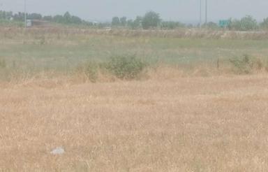 زمین کشاورزی 1000متری روبرو خط کماسی انتهای خرگوش تپه