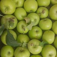 سیب ترش تازه چین