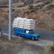 خریدار کاه گندم وکاه جو