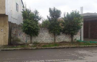 فروش زمین با قیمت عالی در بهترین لوکیشن روستای بوران