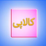 نقد کردن کالاپی بالاترین قیمت