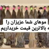 خریدار موهای طبیعی ونچرال
