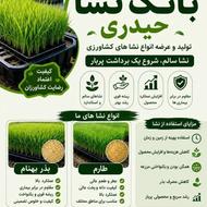 بانکنشاحیدری بذرآمادهنشا