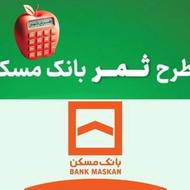 ضامن رتبه بالا برای وام طرح ثمر بانک مسکن